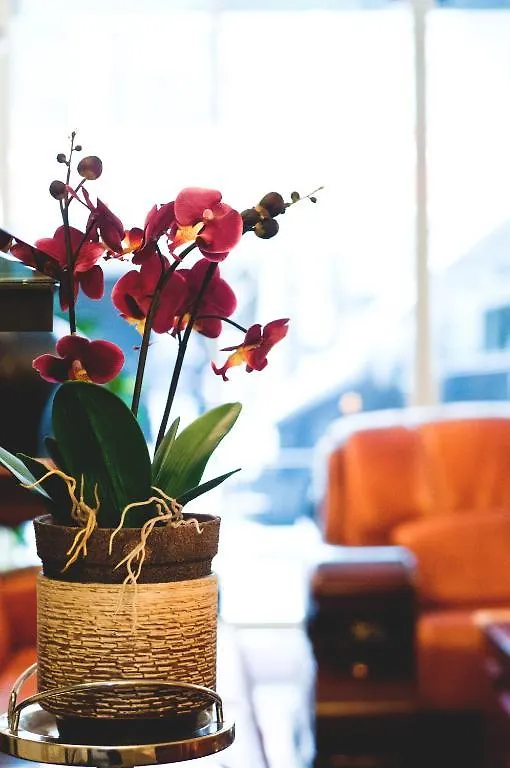Rugs Hotel Duesseldorf